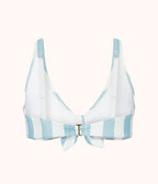 The Swim Plunge Bralette: Cabana Stripe
